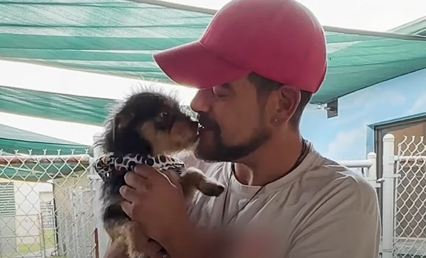 Owner kissing black dog