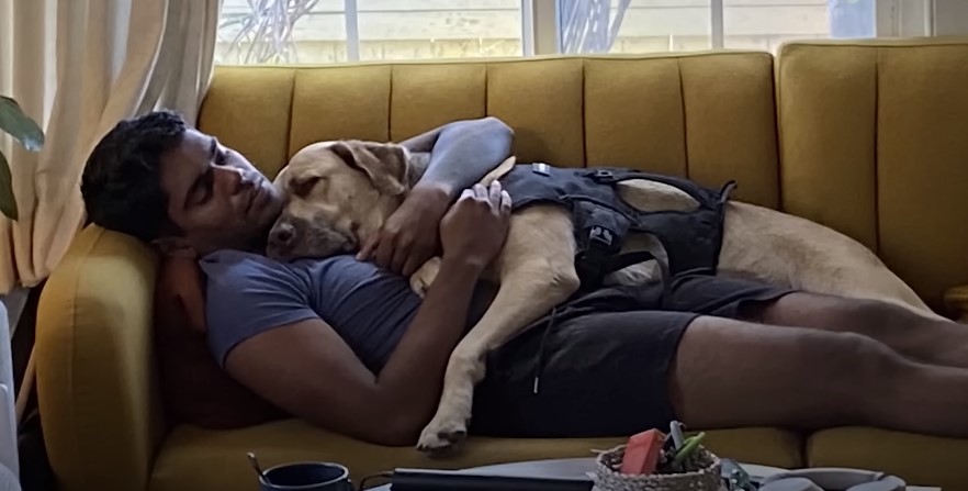 owner and dog sleeping together