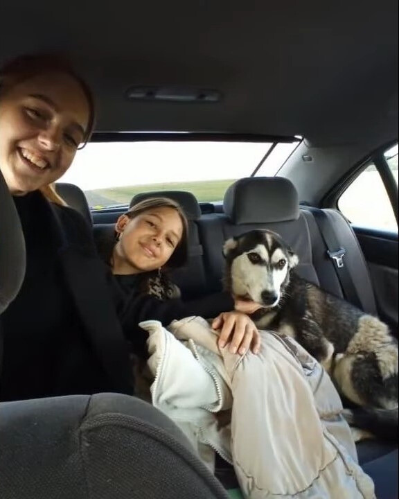 woman, kid and dog in a car